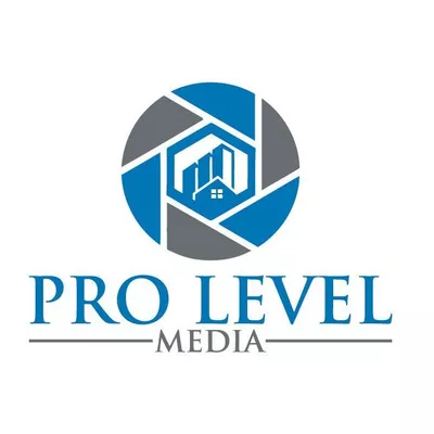 Pro Level Media LLC