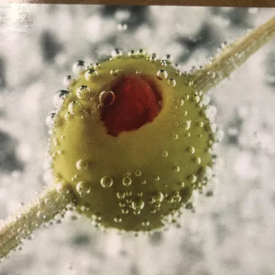 The Pour People III
