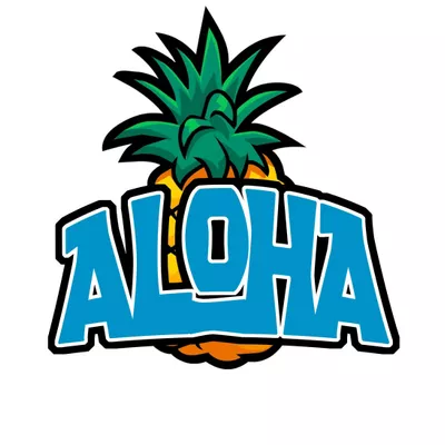 Aloha Window Washing