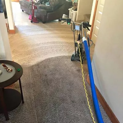 Mr clean carpet care