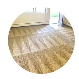 Carpet Stretching Pros