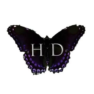 Hair Dressed Salon LLC
