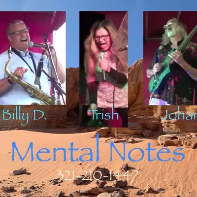 Mental Notes