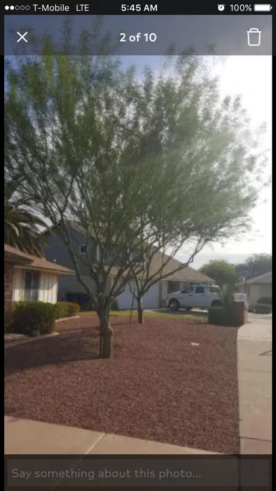 AR Lawn Services