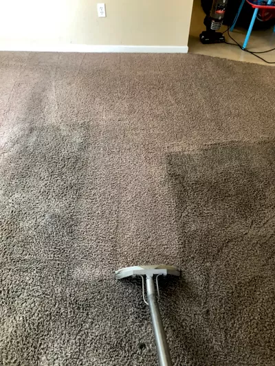 Exceptionally Clean Carpet