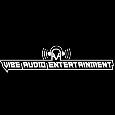 Vibe Audio Entertainment