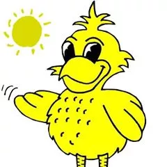 Sunbird Window Cleaning LLC