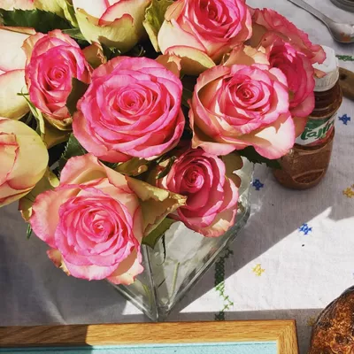 La Rosa