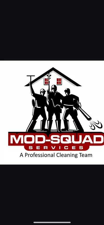 Mod-Squad Services