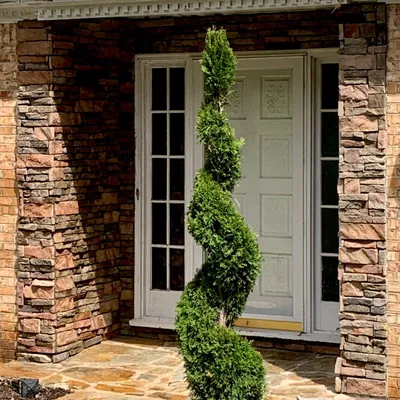 David’s Stone Masonry