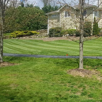 Royal Turf & landscaping