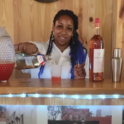 Ladybluetipsy Top-Tier Bartending & Event Staffing