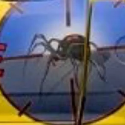 Crossfire Pest & Termite