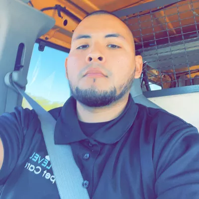 Next Level Carpet Care L.L.C.