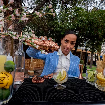 Casa Cocktails