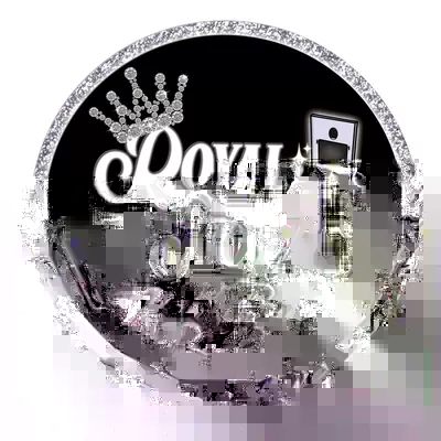Royal Shotz - Photobooth Rental