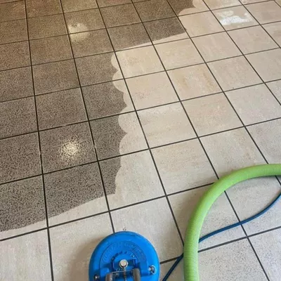Steadfast Waste Carpet Cleaning