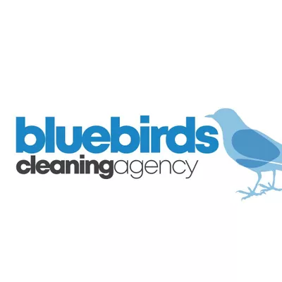 Blue Birds Cleaning Agency