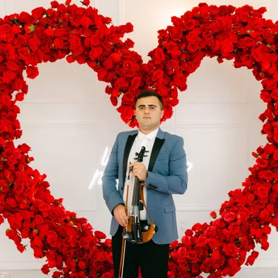 Ansar Violin
