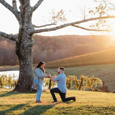 Vanessa Lewis Studio ? Photography