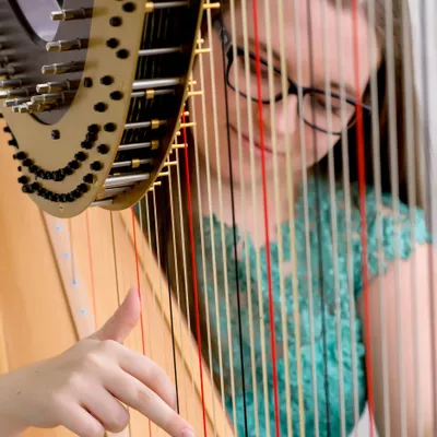 Strummed Strings Harp Music