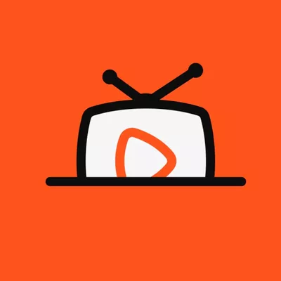 TV Wall Mounters (Insured)