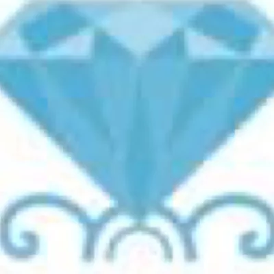 Diamond Shine Cleaning Services LLC