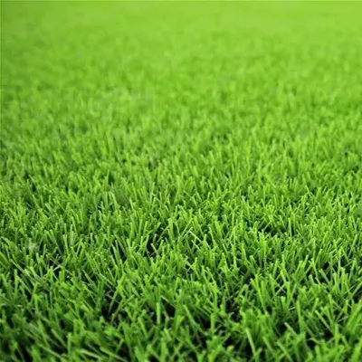 A&I Lawncare