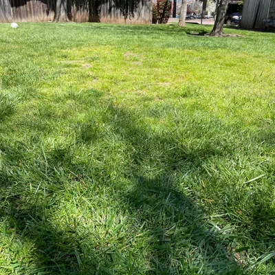 Gutierrez concrete