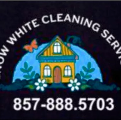 Snow White Cleaning Services by :Vivienne