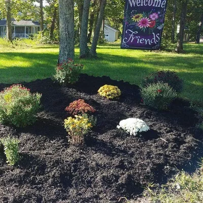 J&J Lawn Maintenance