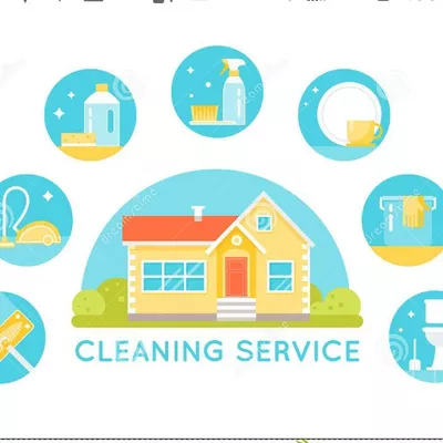 Ludy's cleaning services and more