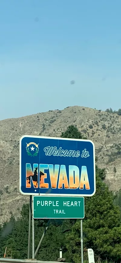 The Handy Nevadan LLC