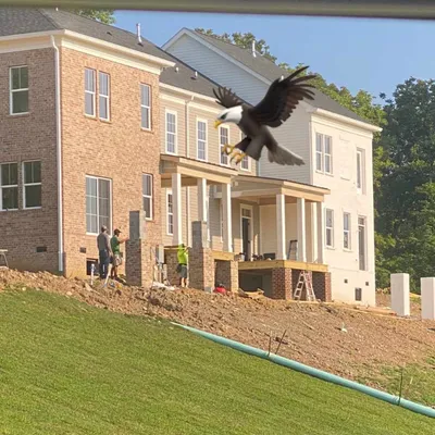 Lynn construction