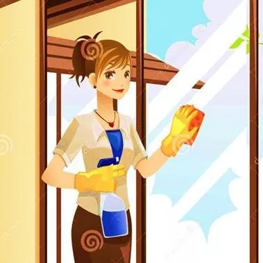 T and V Cleaning Services.