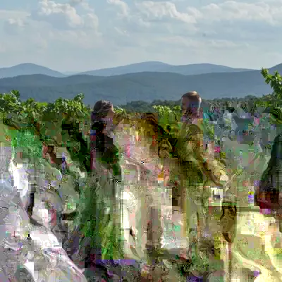 WithLove - Bilingual wedding officiant