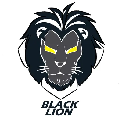 Black Lion Computers and Networking