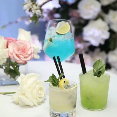 Private Bartending Event