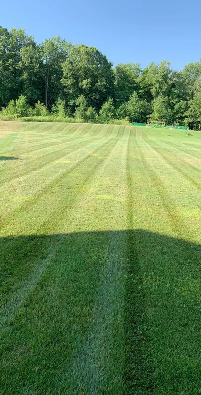 Great Lakes Landscape Management