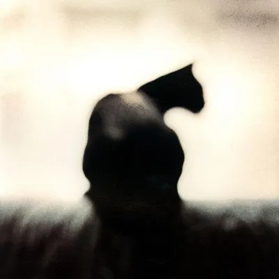 Chris Gaede Photography