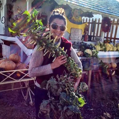 WildFeast NY