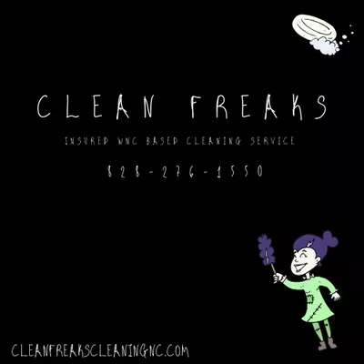 Clean Freaks