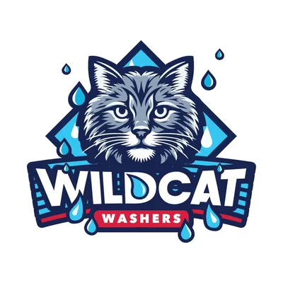 Wildcat Washers