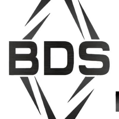 BDS, LLC (Black Diamond Services)