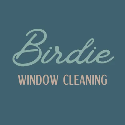 Birdie Window Cleaning