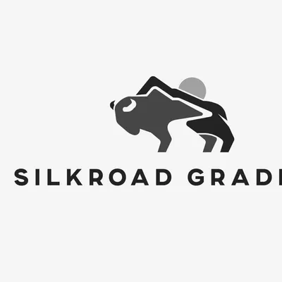 SILKROAD GRADING LLC