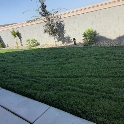 OP LAWN  MAINTENANCE