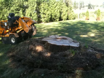 The Lawn Ranger Landscaping & Pond Co.