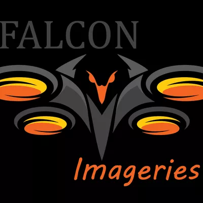 Falcon Imageries