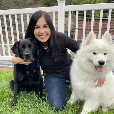 The Top Dog Trainer